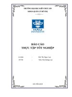 Báo cáo thực tập tốt nghiệp  công ty cp tư vấn và Đầu tư bông sen vàng