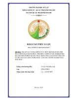 Quan sát hành Động của một khách hàng khi mua một loại hàng hóa  tìm hiểu chiến lược marketing mà doanh nghiệp Đó Đã thực hiện cho loại hàng hóa Đó  từ Đó, Đưa ra kiến nghị hoặc chương trình marketing phù hợp