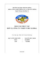 Báo cáo thực tập Đơn vị công ty tnhh vn bic global