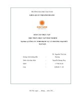 Báo cáo thực tập học phần học tập trải nghệm tại Đơn vị công ty tnhh dịch vụ và thương mại Đức nguyện