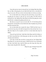Phân tích tình hình tài chính của công ty tnhh sơn kim loan