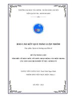 Tìm hiểu về bản chất, tổ chức hoạt Động của một trong các sàn giao dịch Điện tử b2c sendo vn
