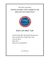 Báo cáo thực tập  tại công ty tnhh nippo mechatronics (việt nam)
