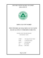 Phân tích hiệu quả hoạt Động sxkd tại công ty tnhh shing mark vina