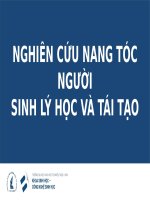 Nghiên cứu nang tóc người - sinh lý và tái tạo