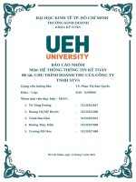 Môn hệ thống thông tin kế toán Đề tài chu trình doanh thu của công ty tnhh stvs