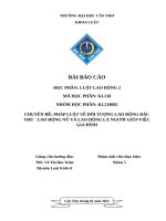 Chuyên Đề pháp luật về Đối tượng lao Động Đặc thù   lao Động nữ và lao Động là người giúp việc gia Đình