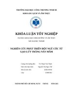 Nghiên cứu phát triển bột ngũ cốc từ gạo lứt trắng nảy mầm