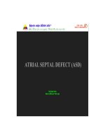 Atrial septal defect (asd)
