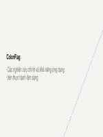 Colonflag các nghiên cứu chính và khả năng Ứng dụng trên thực hành lâm sàng