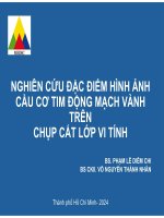 Nghiên cứu Đặc Điểm hình Ảnh cầu cơ tim Động mạch vành trên chụp cắt lớp vi tính