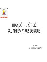 Thay Đổi huyết Đồ sau nhiễm virus dengue