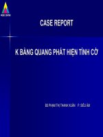 K bàng quang phát hiện tình cờ
