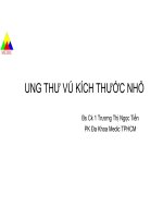 Ung thư vú kích thước nhỏ