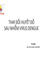 Thay Đổi huyết Đồ sau nhiễm virus dengue