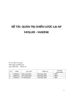 ĐỀ TÀI: QUẢN TRỊ CHIẾN LƯỢC LẠI AP MOLLER - MAERSK