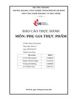IUH - BÁO CÁO THỰC HÀNH PHỤ GIA THỰC PHẨM - PHỤ GIA CHỐNG OXI HÓA