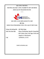 IUH - Tiểu luận Kinh tế vi mô - PHÂN TÍCH TÌNH HÌNH CUNG CẦU GẠO Ở VIỆT NAM