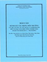 Báo cáo dtm Đầu tư xây dựng và kinh doanh kết cấu hạ tầng khu công nghiệp wha smart technology 2  thanh hóa