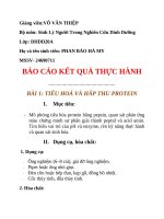 IUH - BÁO CÁO THỰC HÀNH Sinh Lý Người Trong Nghiên Cứu Dinh Dưỡng - TIÊU HOÁ VÀ HẤP THU PROTEIN