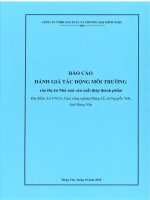 Báo cáo dtm dự Án nhà máy sản xuất thép thành phẩm