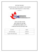 IUH - Phụ gia tạo nhũ