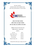 IUH - BÁO CÁO THỰC HÀNH PHỤ GIA THỰC PHẨM - PHỤ GIA CHỐNG OXY HÓA