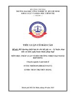 IUH - Tiểu luận Pháp luật về bồi thường thiệt hại ngoài hợp đồng - Bồi thường thiệt hại do chó dữ gây ra - Lý luận, thực tiễn và kiến nghị hoàn thiện pháp luật