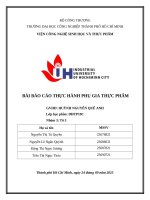 IUH - BÀI BÁO CÁO THỰC HÀNH PHỤ GIA THỰC PHẨM - PHỤ GIA CHỐNG OXY HÓA