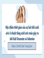 IUH - Bài giảng - Đặc Điểm thời gian của sự bài tiết acid uric ở chuột tăng acid uric máu gây ra bởi kali oxonate và adenine