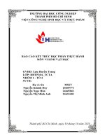 IUH - Báo cáo kết thúc học phần thực hành - Vi sinh vật học