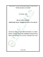 Đánh giá một số Đặc Điểm sinh học và chọn giống loài ba kích tím (morinda officinalis how) cho huyện tây giang, tỉnh quảng nam