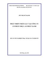 Phát triển nhân lực tại công ty cổ phần nhựa an phát xanh