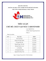 IUH - Tiểu luận - Chất tạo màu CAROTENOID