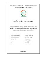 Đánh giá hiện trạng quần thể của loài cá cóc quảng tây (paramesotriton guangxiensis) trên Địa bàn huyện nguyên bình, tỉnh cao bằng