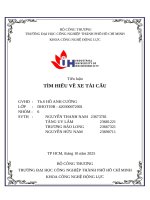 IUH - Tiểu luận CÔNG NGHỆ ĐỘNG LỰC - TÌM HIỂU VỀ XE TẢI CẨU