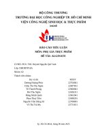 IUH - BÁO CÁO TIỂU LUẬN PHỤ GIA THỰC PHẨM - ĐỀ TÀI: ALGINATE