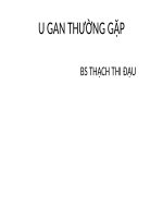 Hình ảnh học bệnh lý U gan thường gặp