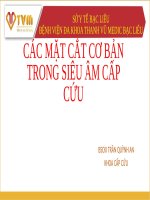 CÁC MẶT CẮT CƠ BẢN TRONG SIÊU ÂM CẤP CỨU BS CK1 TRẦN QUỲNH AN
