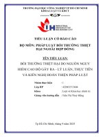 IUH - Tiểu luận Pháp luật bồi thường thiệt hại ngoài hợp đồng - Bồi thường thiệt hại do nguồn nguy hiểm cao độ gây ra - Lý luận, thực tiễn và kiến nghị hoàn thiện pháp luật