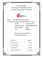 IUH - Tiểu luận Bao gói thực phẩm - TÌM HIỂU VẬT LIỆU BAO BÌ PET VÀ ỨNG DỤNG TRONG SẢN XUẤT NƯỚC NGỌT CÓ GAS