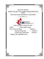 IUH - BÁO CÁO MÔN VI SINH VẬT HỌC - THIẾT BỊ VÀ DỤNG CỤ PHÒNG THÍ NGHIỆM VI SINH VẬT VÀ CÁC PHƯƠNG PHÁP TIỆT TRÙNG VI SINH VẬT