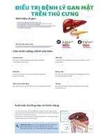 ĐIỀU TRỊ BỆNH LÝ GAN - MẬT TRÊN CHÓ MÈO, sử dụng thuốc