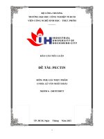 IUH - TIỂU LUẬN PHỤ GIA THỰC PHẨM - PECTIN