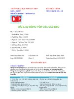 Báo cáo Hóa lý - Thực hành