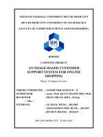 Luận văn an image based customer support system for online shopping