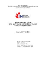 IUH - BÁO CÁO THỰC HÀNH CÁC QUÁ TRÌNH VÀ THIẾT BỊ TRONG CÔNG NGHỆ HOÁ HỌC - Bài 3 cột chêm