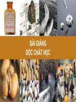 Bài Giảng - Độc Chất Học ( combo full slides 8 chương  )