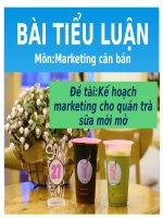 Tiểu luận - Marketing căn bản - đề tài - Kế hoạch marketing cho quán trà sữa mới mở

