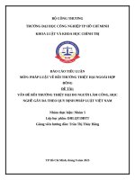 IUH - BÁO CÁO TIỂU LUẬN PHÁP LUẬT VỀ BỒI THƯỜNG THIỆT HẠI NGOÀI HỢP - VẤN ĐỀ BỒI THƯỜNG THIỆT HẠI DO NGƯỜI LÀM CÔNG, HỌC NGHỀ GÂY RA THEO QUY ĐỊNH PHÁP LUẬT VIỆT NAM